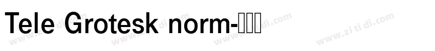 Tele Grotesk norm字体转换